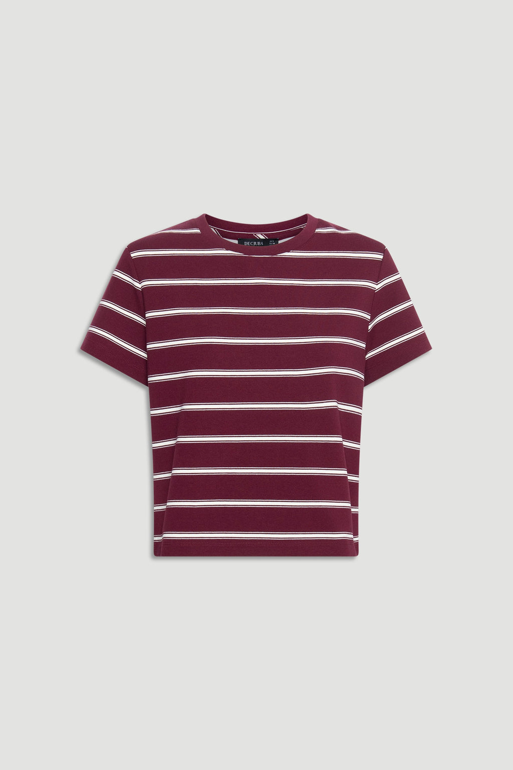 Dillon Stripe Mini Tee