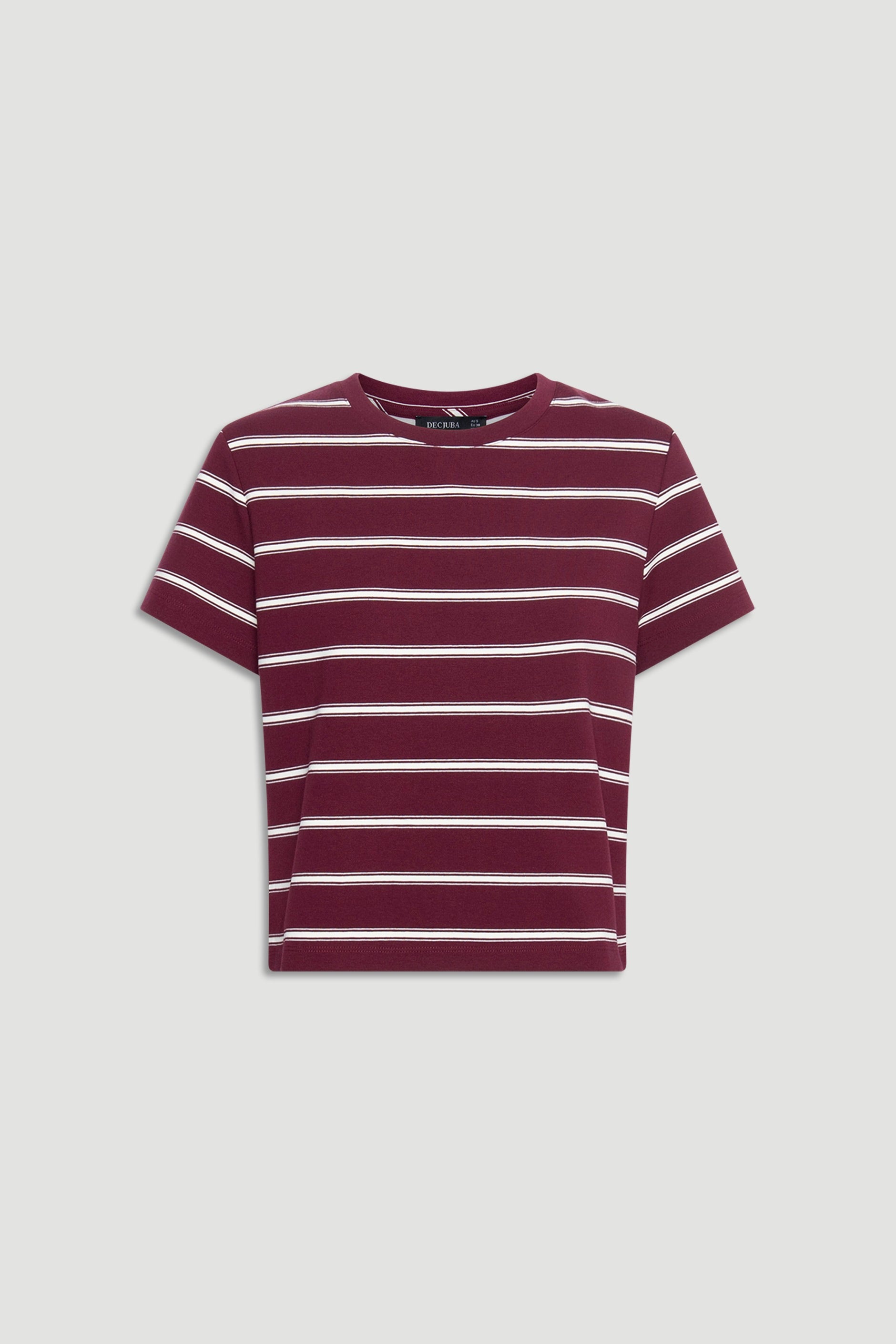 Dillon Stripe Mini Tee