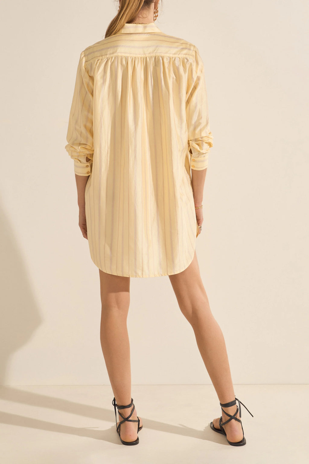 Arion Killini Stripe Silk Shirtdress