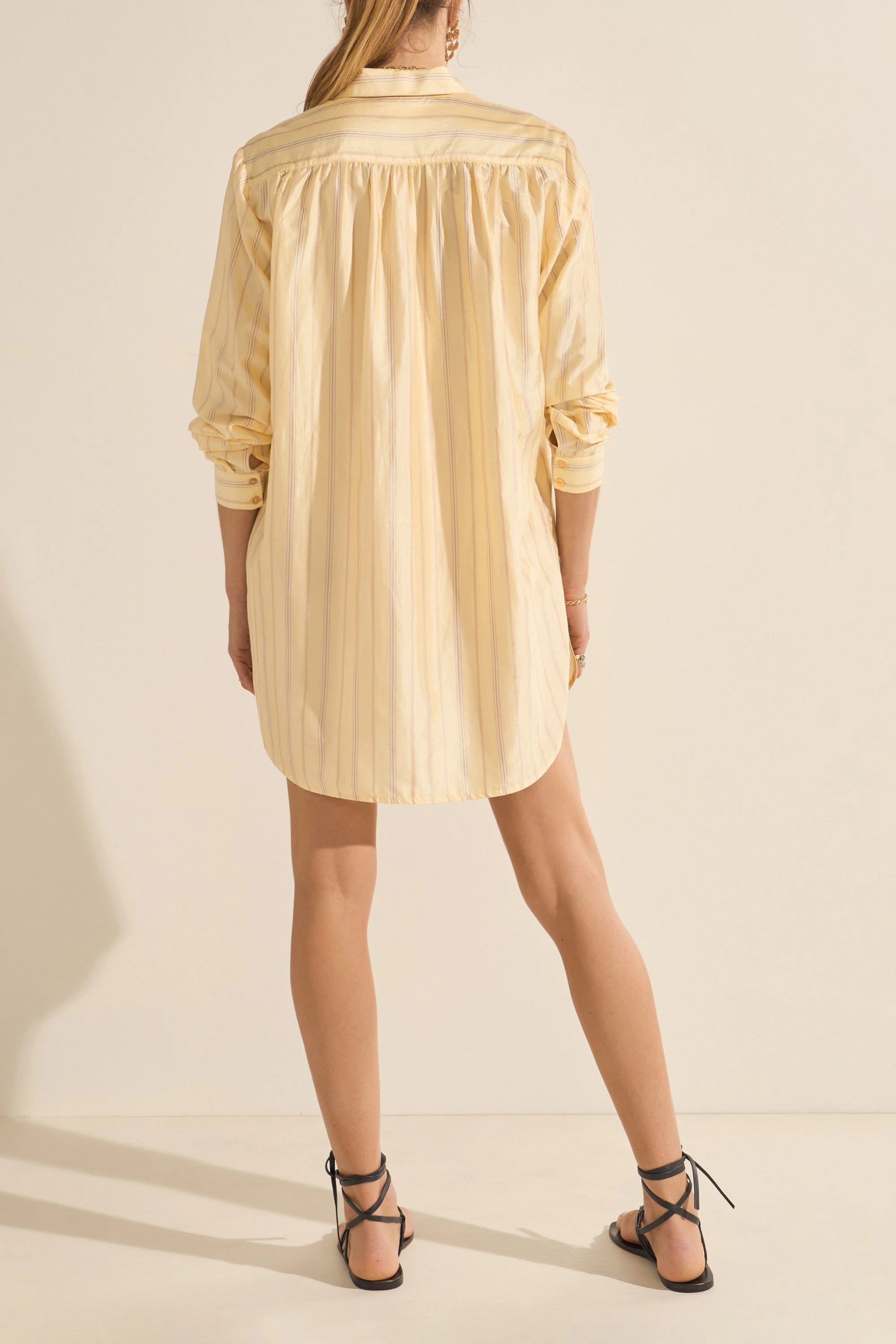 Arion Killini Stripe Silk Shirtdress