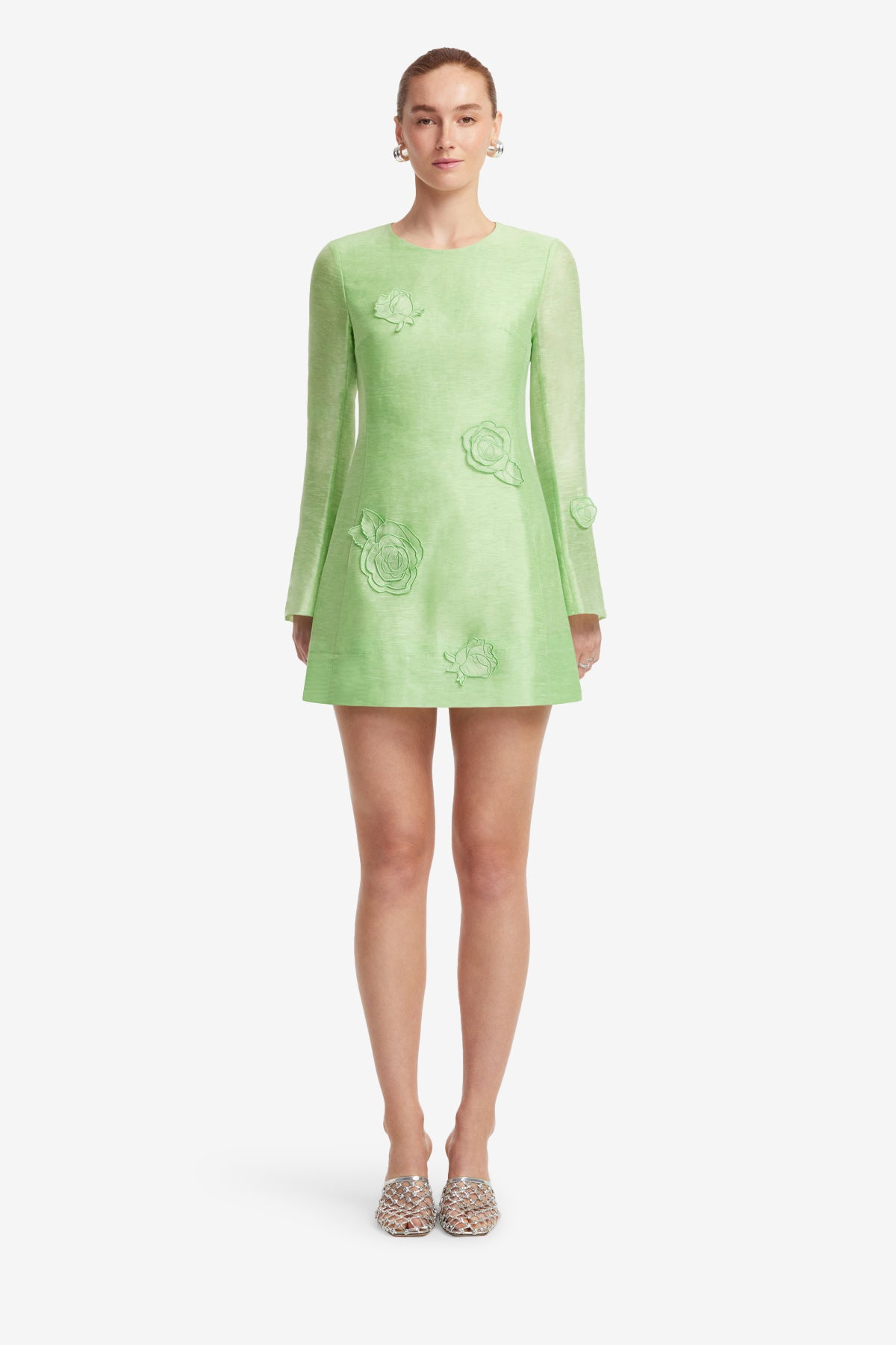 Suzanne Applique Long Sleeve Mini Dress