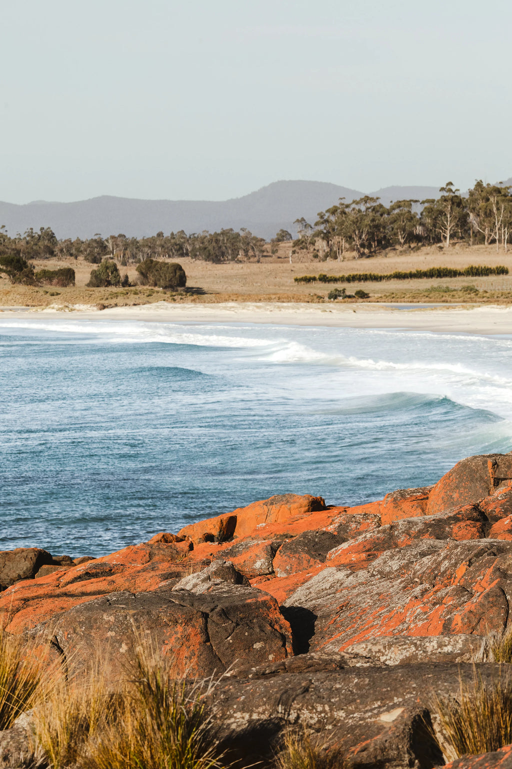 Terrain Throw Blanket | Bay of Fires