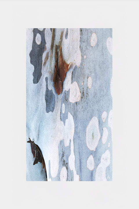 Spotted Bark Silk Scarf