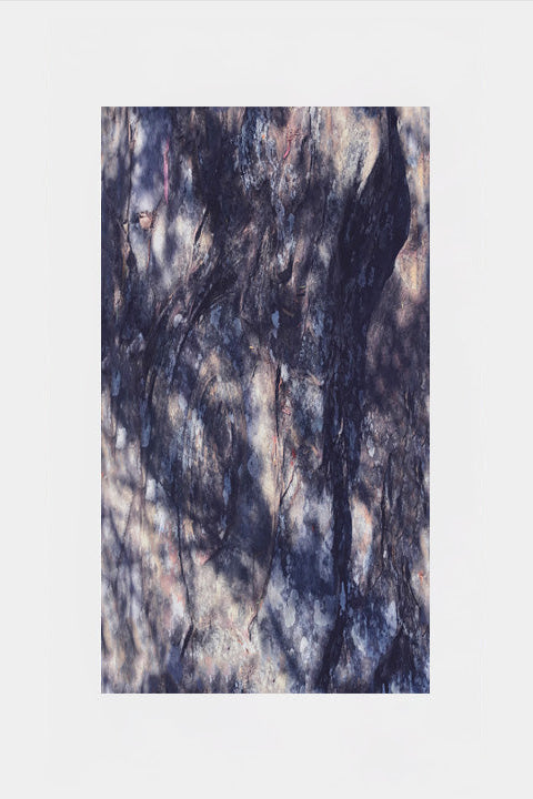 Stoney Bark Silk Scarf
