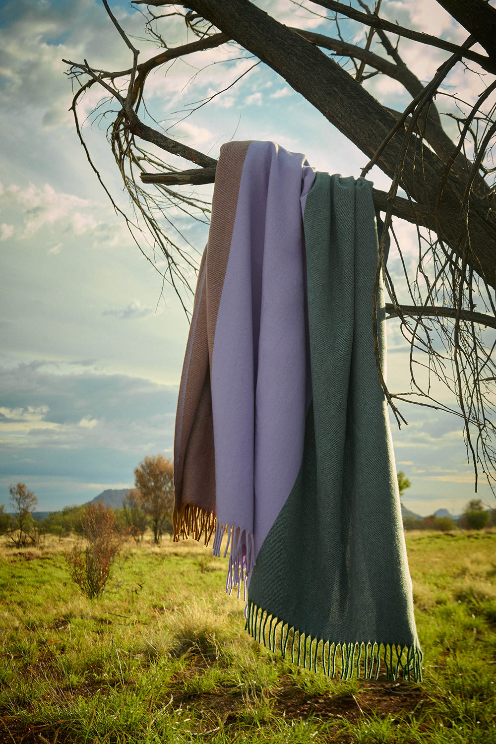 Fiona Lynch Desert Field Throw Blanket | Standley