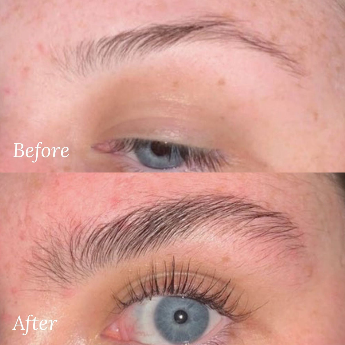 Before and after results using Lash Therapy Australia eyebrow growth serum showing fuller brows.