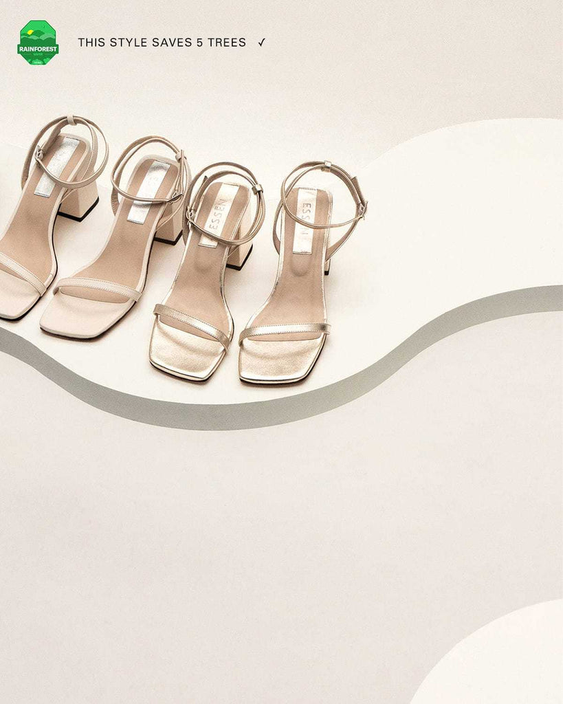 The Elevated Essential - Champagne